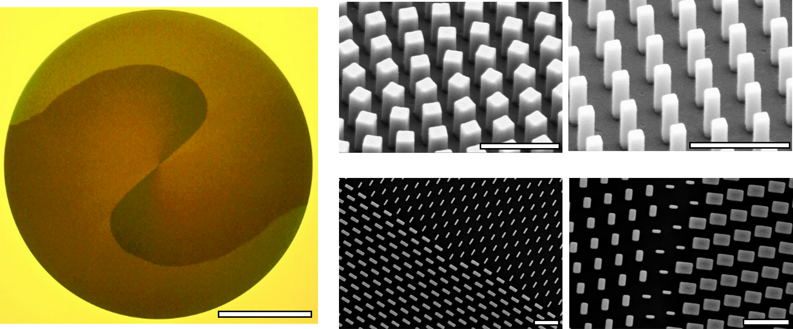 Research Image